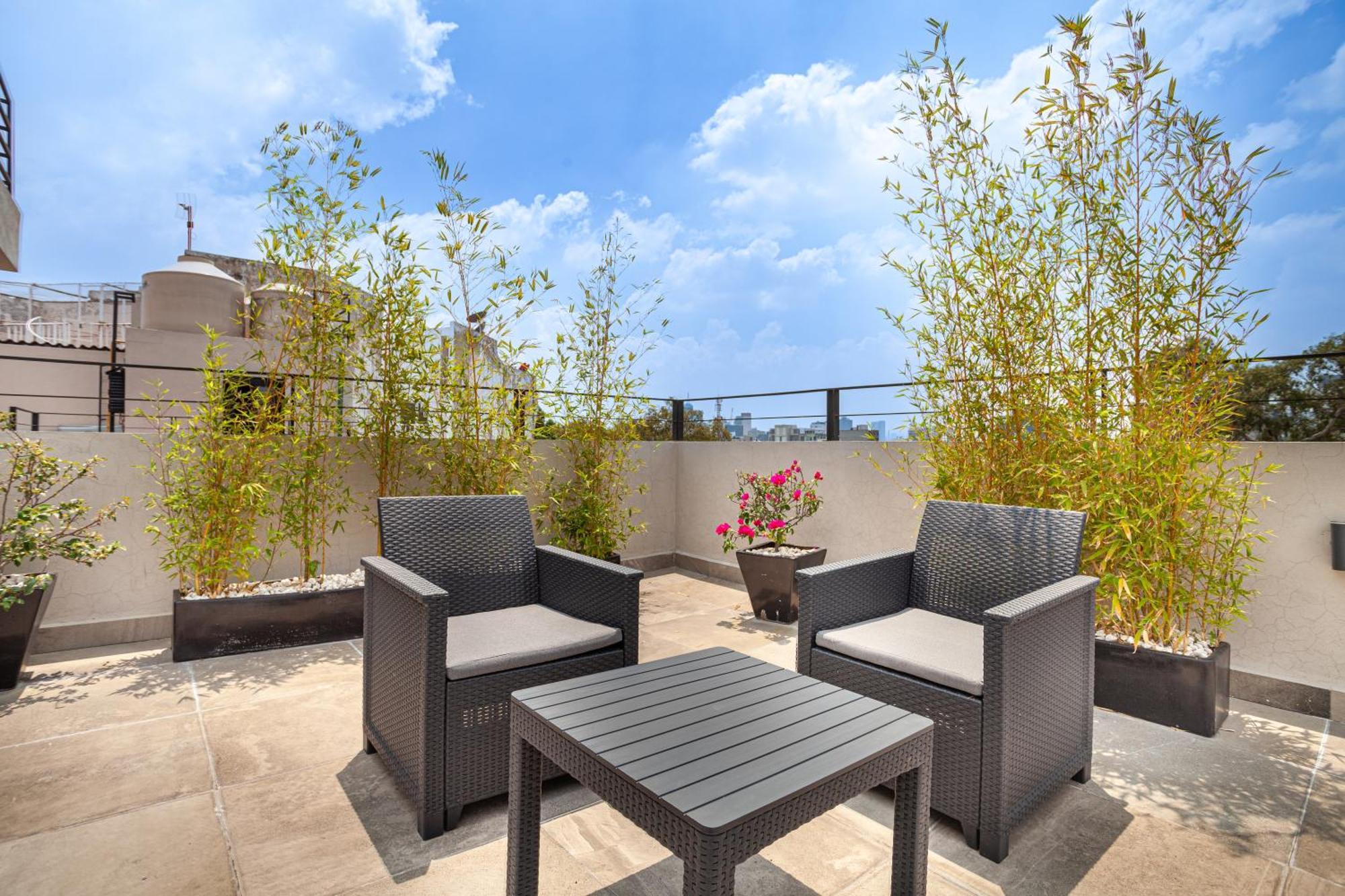 Nowness Apart otel Meksika Dış mekan fotoğraf